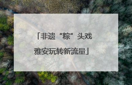 非遗“粽”头戏 雅安玩转新流量